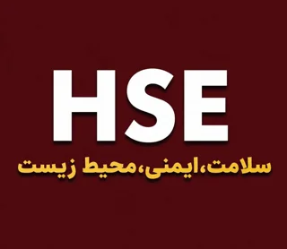 دانشیار HSE (آموزش)